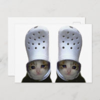 Postcard Crying Cat Croc Hat Meme