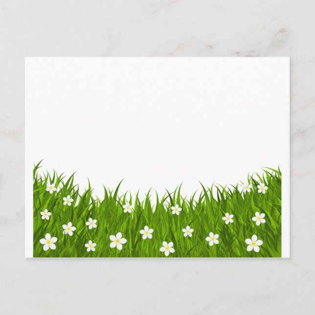 Postcard daisy and grass (Front)
