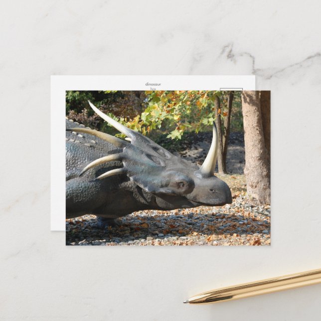 postcard _ dinosaur _ triceratops (Front/Back In Situ)