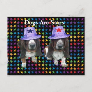Postcard Dogs Are Stars