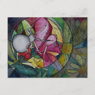 Postcard: "Flower Spider" Postcard