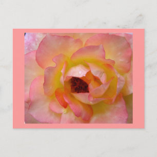 Postcard-Flowers-10 Postcard
