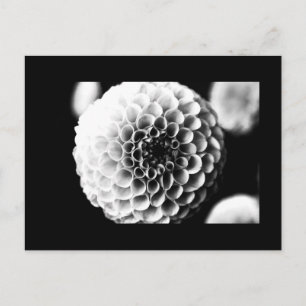 Postcard-Flowers-51 Postcard