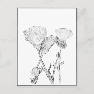 Postcard - Flowers to Colour