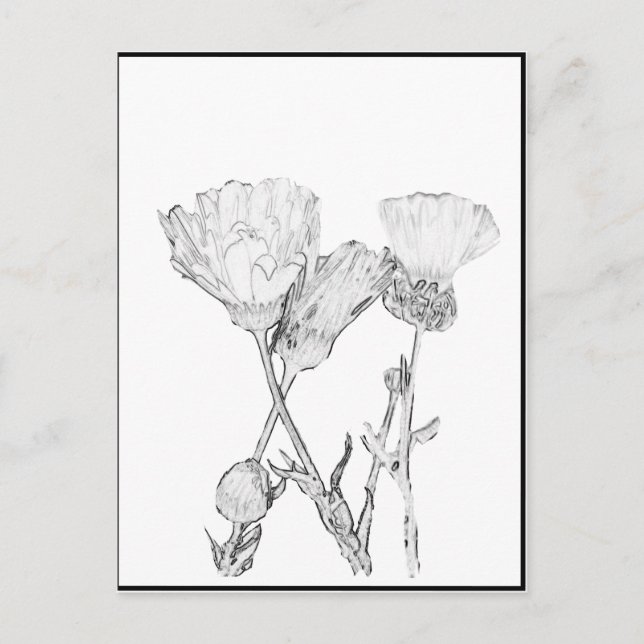 Postcard - Flowers to Colour (Front)