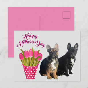 postcard French Bulldog Mother's Day
