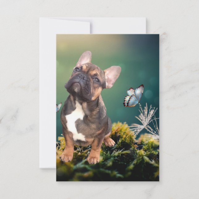 postcard French Bulldogge (Front)
