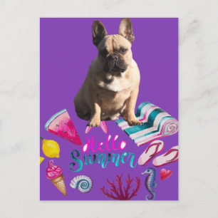 postcard French Bulldogge hello summer