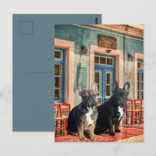 postcard French Bulldoggen