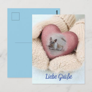 postcard French Bulldoggen