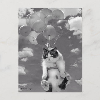 Postcard: Funny cat flying with Balloons Postcard