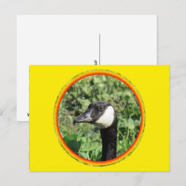 Postcard - Goose Portrait (Front/Back)