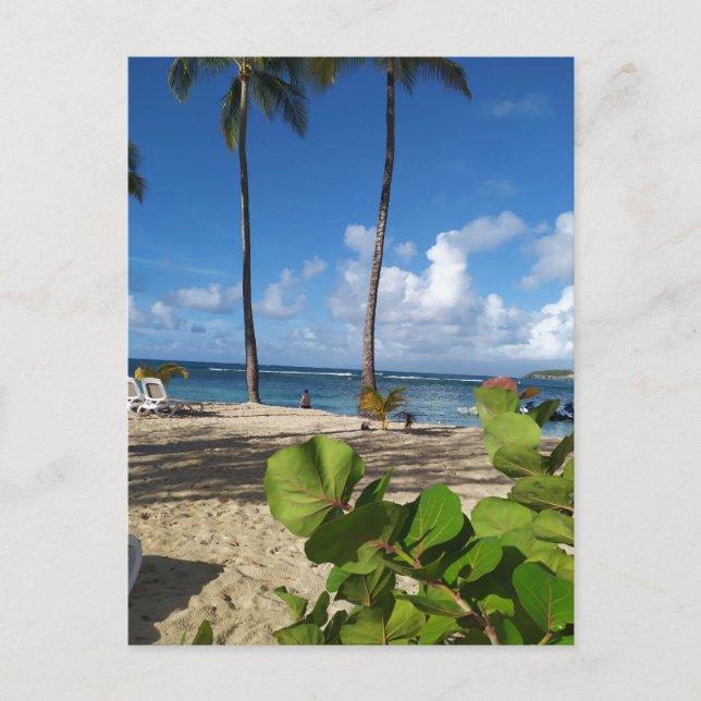 Postcard Guadeloupe (Front)