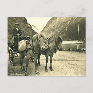 Postcard, Gudvangen, Norway Postcard
