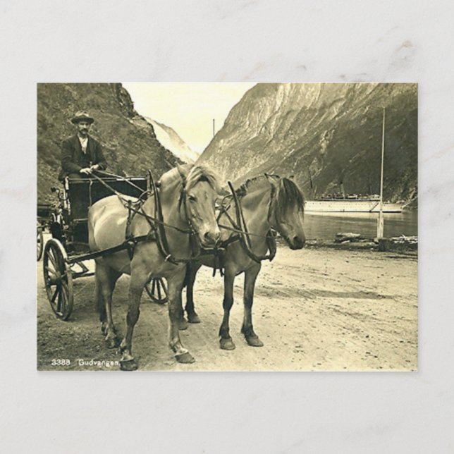 Postcard, Gudvangen, Norway Postcard (Front)