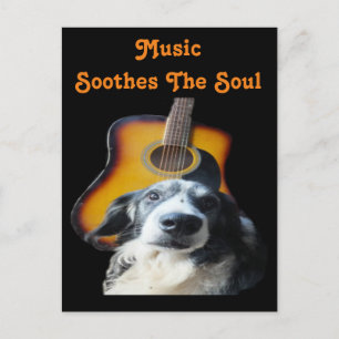 Postcard Guitar Dog