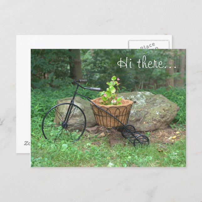 Postcard Hi There.. Bicycle Pink Flowers in Basket (Front/Back)