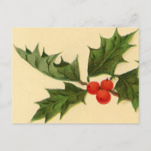 Postcard: Holly Sprig Postcard