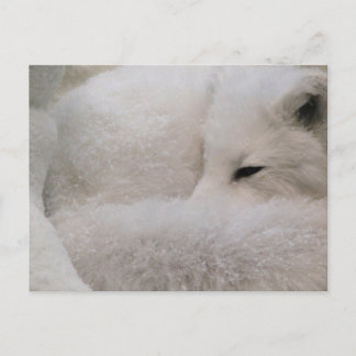 Postcard Horizontal Template - Customised