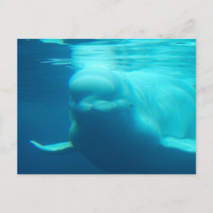 Postcard Horizontal Template - Customised