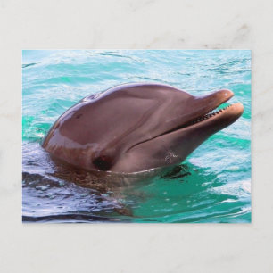 Postcard Horizontal Template - Customised