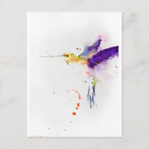 Postcard - Humming Bird