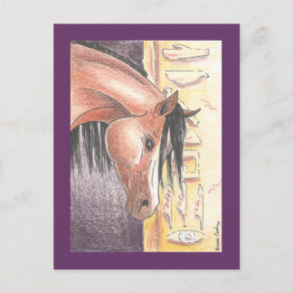 Postcard "Ibn Denah"