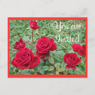 Postcard Invitation or Announcement-customise
