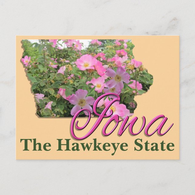 Postcard - IOWA (Front)