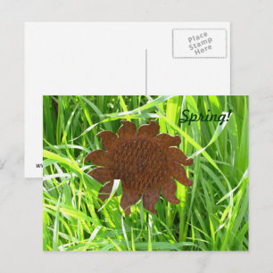 Postcard - Iron Sunflower in grass