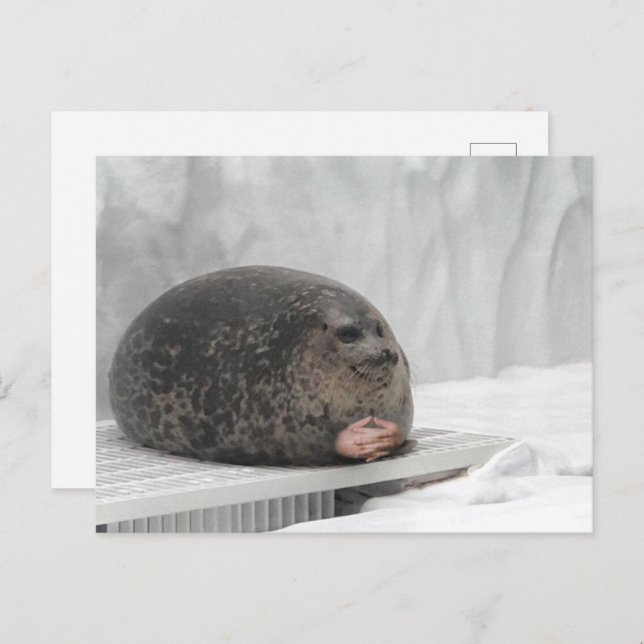 Postcard Judging Seal Meme (Front/Back)