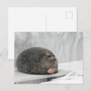 Postcard Judging Seal Meme