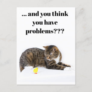 Postcard Katze schaut "Küken" an schwarzer Humour