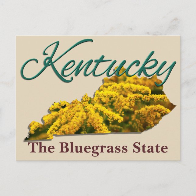 Postcard - KENTUCKY (Front)