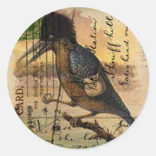 Postcard Kingfisher Classic Round Sticker