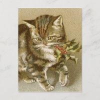 Postcard: Kitty with Holly Sprig