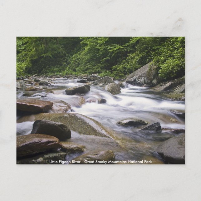 Postcard - Little Pigeon River, Great Smoky Mtns.  (Front)