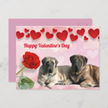 postcard Mastiff Valentine's Day