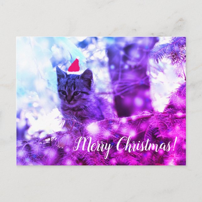 Postcard Merry Christmas Kitten (Front)