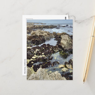 Postcard - Monterey, California