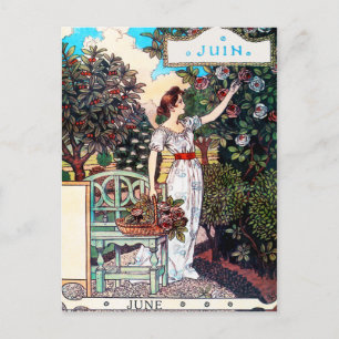 Postcard: Month of June - Juin Postcard