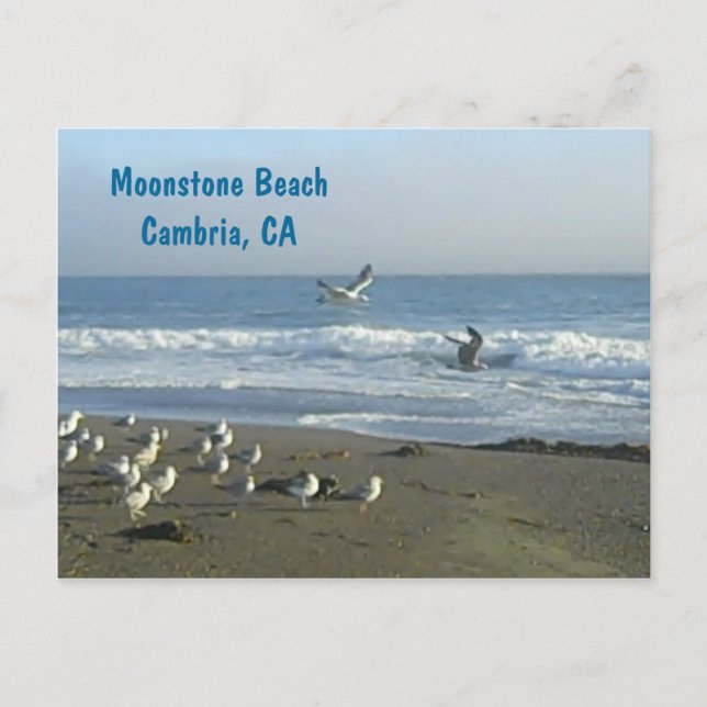 Postcard: Moonstone Beach, Cambria, C Postcard (Front)