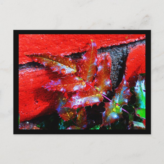 Postcard-Nature-Art of Rain 32 Postcard (Front)