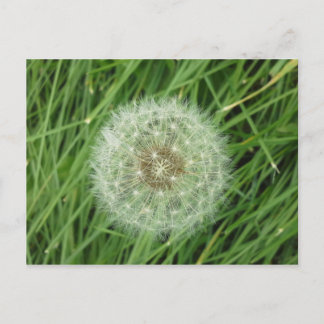 Postcard - nature image