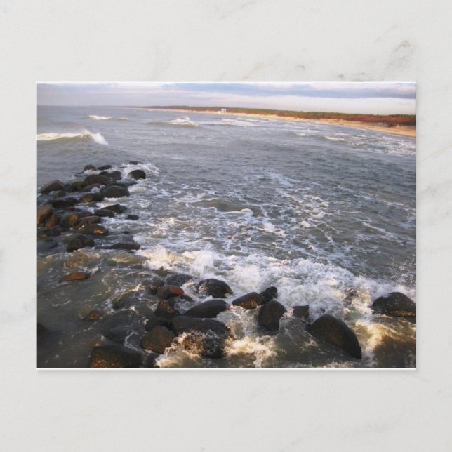 Postcard "Nature. Lithuania, Palanga" (Front)