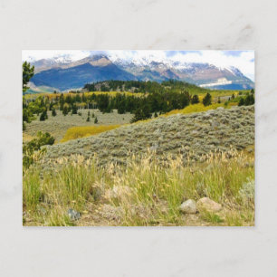 Postcard of Montana