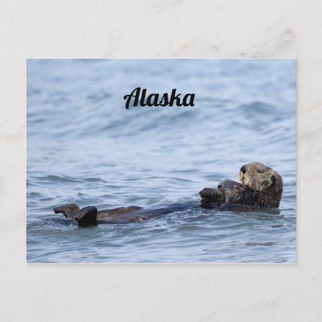 Postcard of otter (Front)