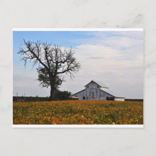 Postcard, old barn postcard
