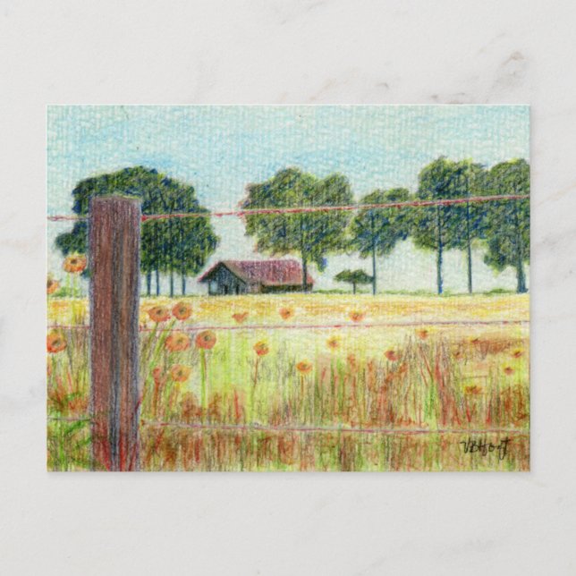 Postcard: Old Home Place Postcard (Front)