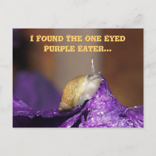 Postcard/One Eyed Postcard